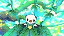 小伙伴们参观精灵宿舍