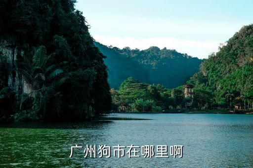 广州狗市在哪里啊