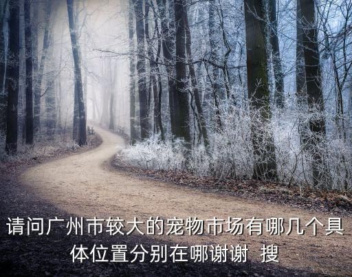 请问广州市较大的宠物市场有哪几个具体位置分别在哪谢谢 搜