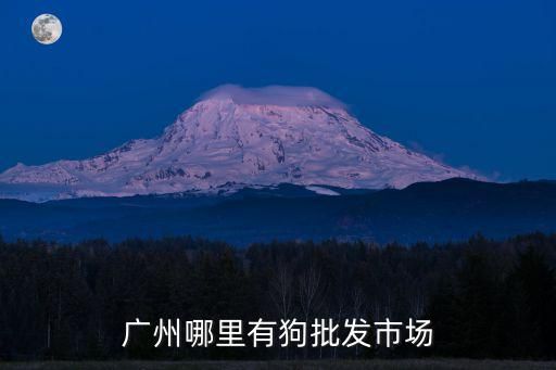 广州哪里有狗批发市场
