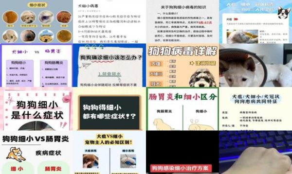 细小的症状有什么表现