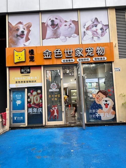 南山宠物狗-南山区的正规宠物店在哪里