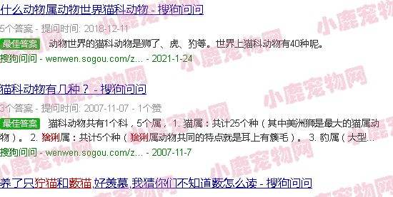 狞猫猞猁兔狲薮猫