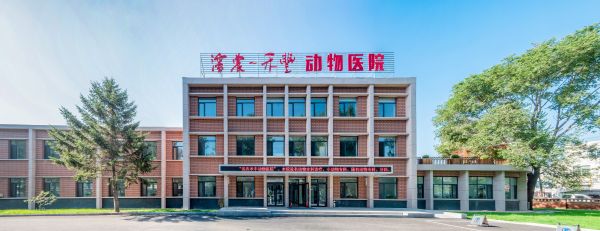 图2.jpg