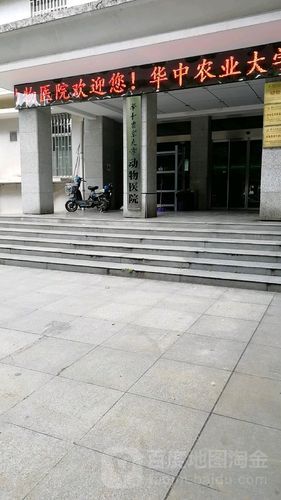 华农宠物医院,华农宠物医院地址