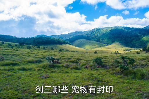 剑三哪些 宠物有封印