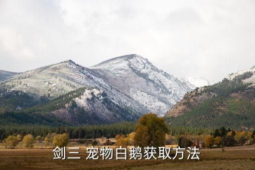 剑三 宠物白鹅获取方法