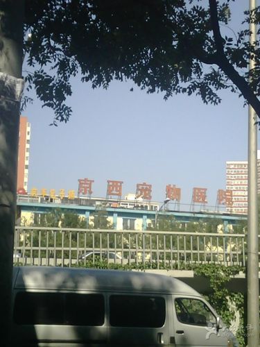 海口京西宠物医院,海口京西宠物医院地址