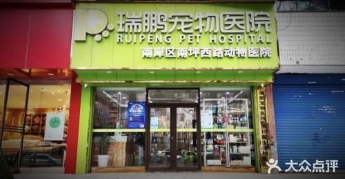 上虞宠物医院排行榜,上虞宠物医院排行榜前十名