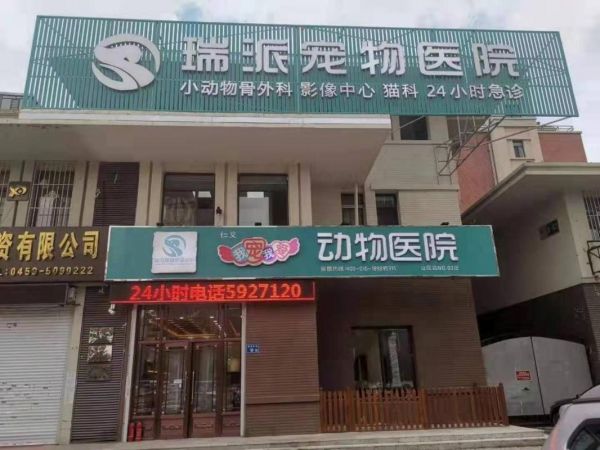 上虞宠物医院排行榜,上虞宠物医院排行榜前十名