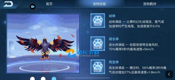 qq飞车手游哪个宠物最好