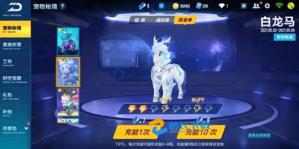 qq飞车手游哪个宠物最好