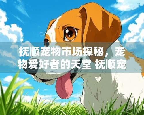 抚顺宠物市场探秘，宠物爱好者的天堂 抚顺宠物市场在哪里