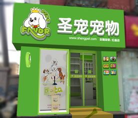 抚顺宠物市场：宠物用品购买指南？抚顺市最受欢迎的宠物店排行榜