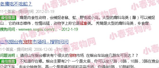 合法猛禽宠物