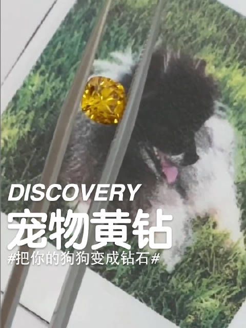 将宠物的骨灰做成钻石，也是件非常浪漫的事