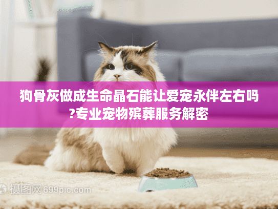 狗骨灰做成生命晶石能让爱宠永伴左右吗?专业宠物殡葬服务解密