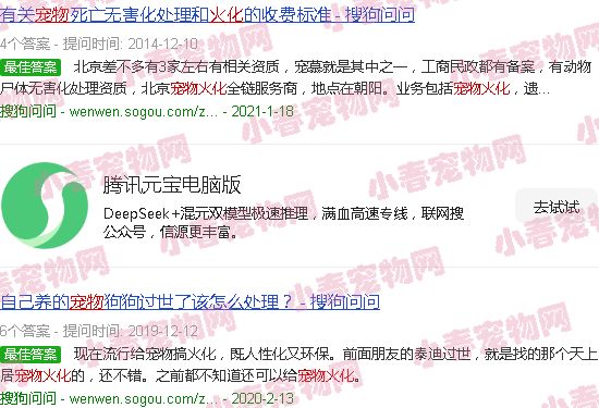 青岛 宠物火化