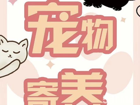 爱尚宠物服务中心·宠物猫狗寄养 猫和狗狗都可散养可猫宫殿养 上门接送家庭寄养收费低有保障