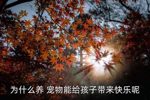 为什么养 宠物能给孩子带来快乐呢