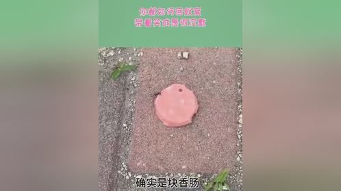 你都如何回蚁窝，带着笑或是很沉默？