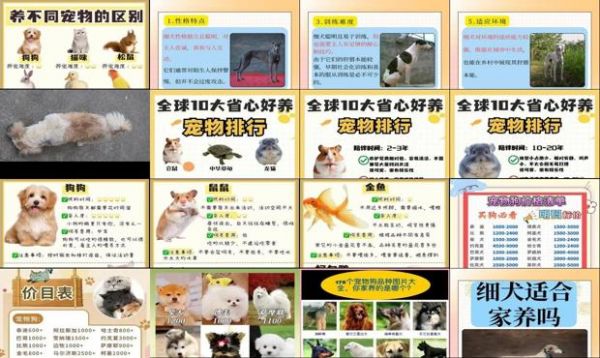 家养宠物排行榜及价格
