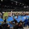 2026年波兰沙华宠物用品展览会<br>Zoological Fair 2026 - 图片 2