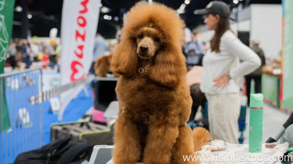 2026年波兰沙华宠物用品展览会<br>Zoological Fair 2026插图1