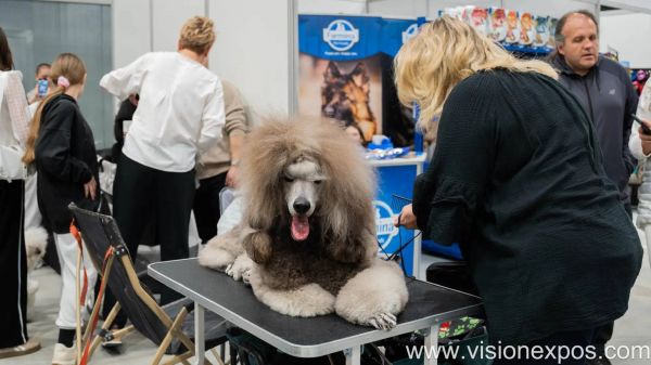 2026年波兰沙华宠物用品展览会<br>Zoological Fair 2026插图3