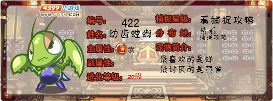 洛克王国幼齿螳螂