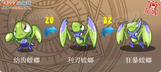 洛克王国幼齿螳螂进化图