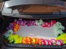 重庆渝北宠物火化 宠物善终服务 宠物去世一站式服务