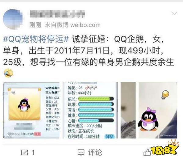 QQ宠物宣布“官方死亡”！网友炸了：和初恋的Q宠还没解除婚约呢