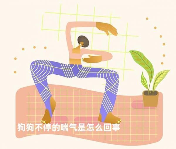狗狗不停的喘气是怎么回事