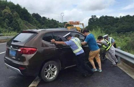 私家车上高速,携带宠物狗合理吗?其实得看情况