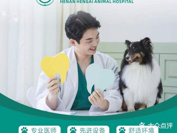 恒爱动物医院(信阳政和花园店)