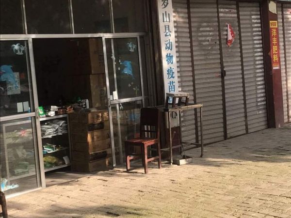兽医120宠物医院