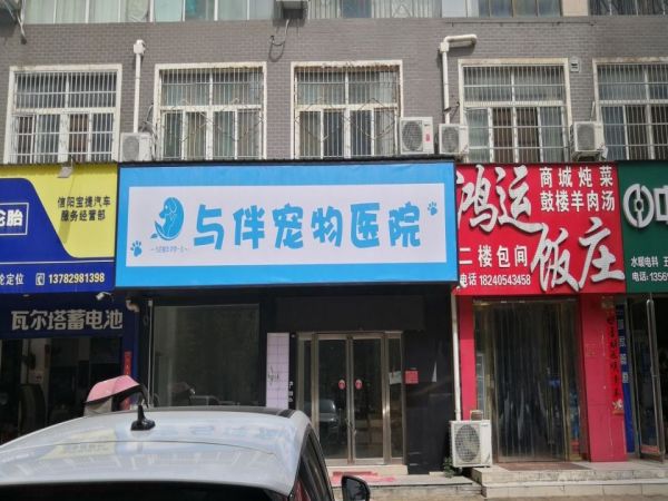 与伴宠物医院