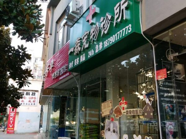 一森宠物诊所