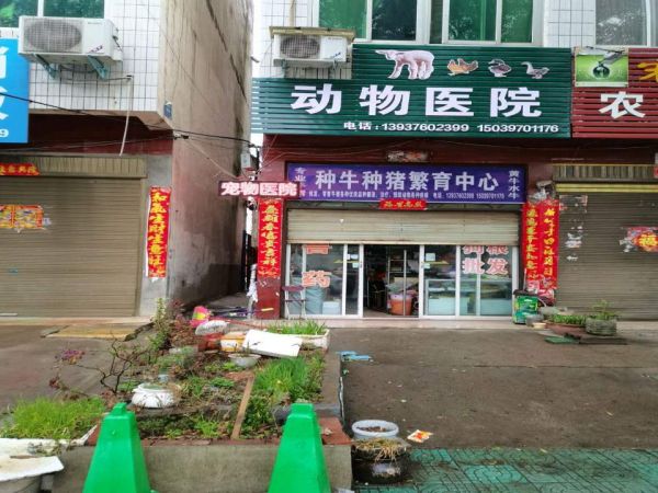 动物医院