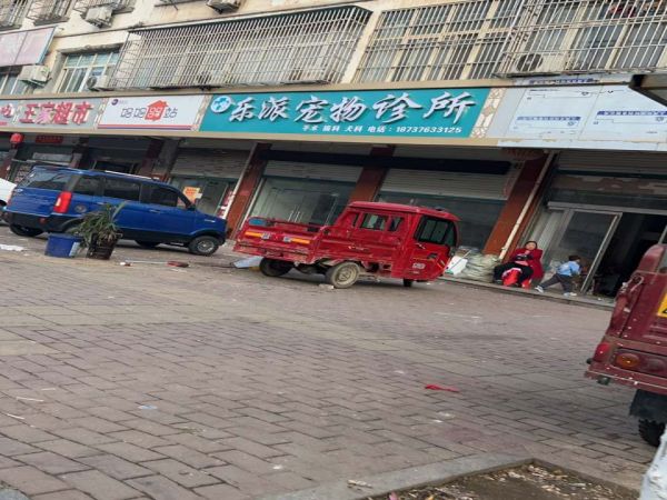 乐派宠物诊所