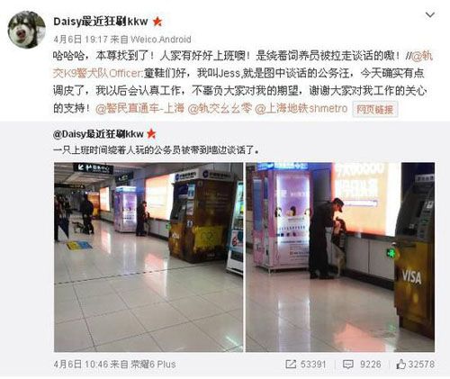 上海地铁＂公务汪＂爆红网络 回应：今天确实有点调皮