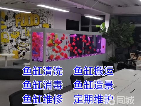 天津永胜水族·专业清洗鱼缸清洗，调理水质，鱼缸造景，鱼缸定制，治鱼病