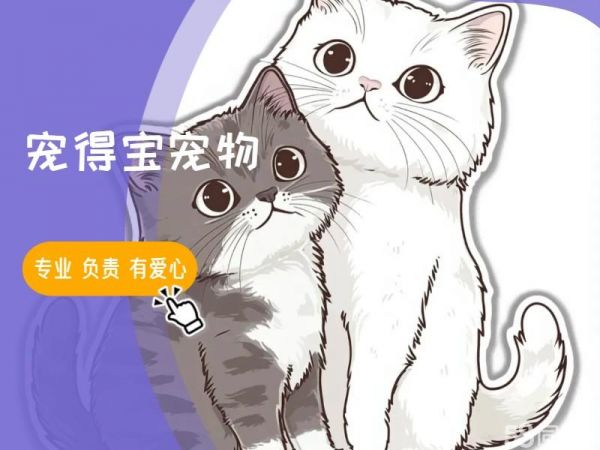 店主头像