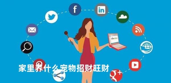 家里养什么宠物招财旺财