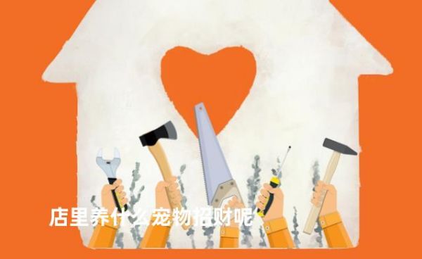 店里养什么宠物招财呢