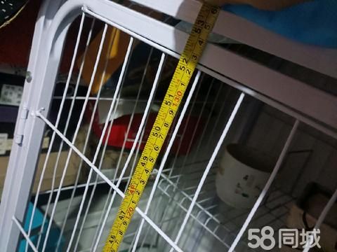 沧州宠物用品/食品·二手市场