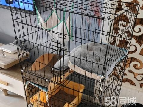 沧州宠物用品/食品·三层可折叠猫笼，用品全带，外带30斤活性炭小米猫砂