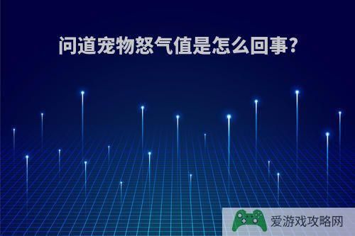 问道宠物怒气值是怎么回事?