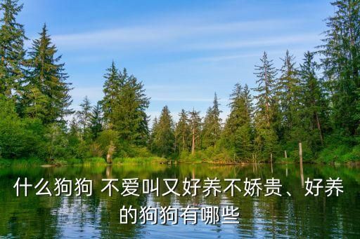 什么狗狗 不爱叫又好养不娇贵、好养的狗狗有哪些